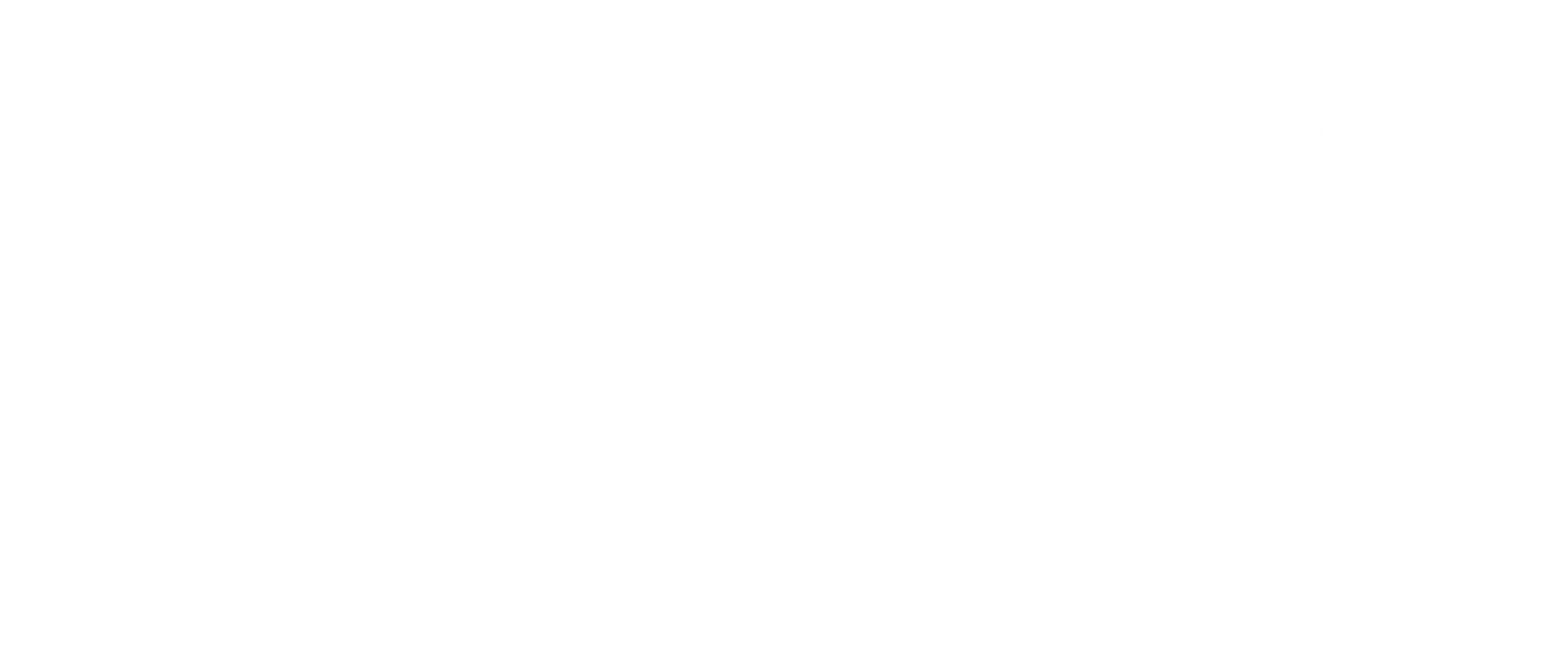 Logo_ARA_Blanc.png